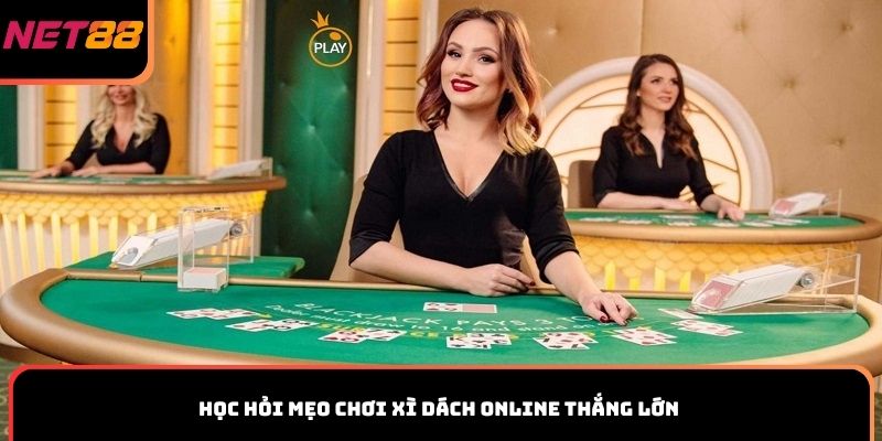 Học hỏi mẹo chơi Xì Dách online thắng lớn