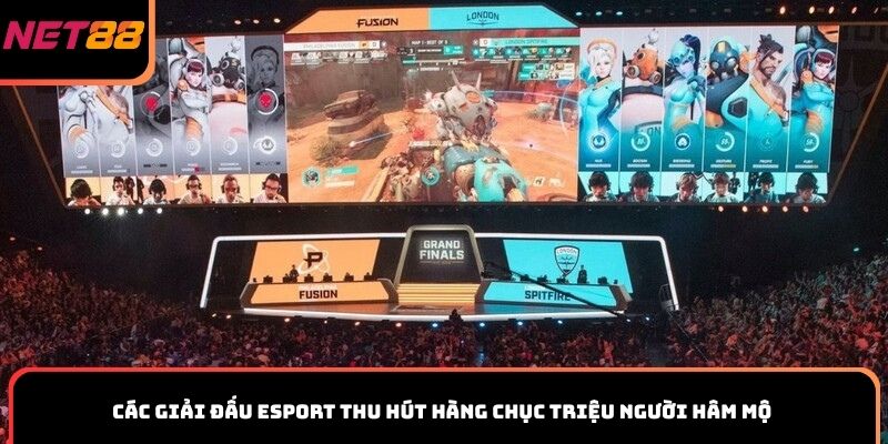 Các giải đấu Esport thu hút hàng chục triệu người hâm mộ