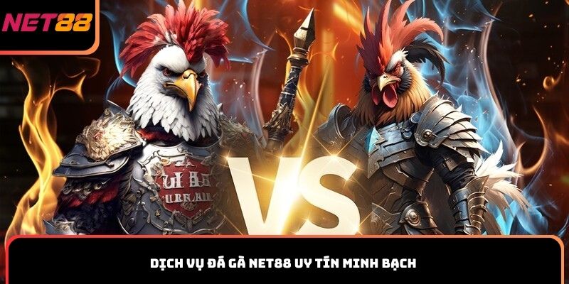 Dịch vụ đá gà Net88 uy tín minh bạch