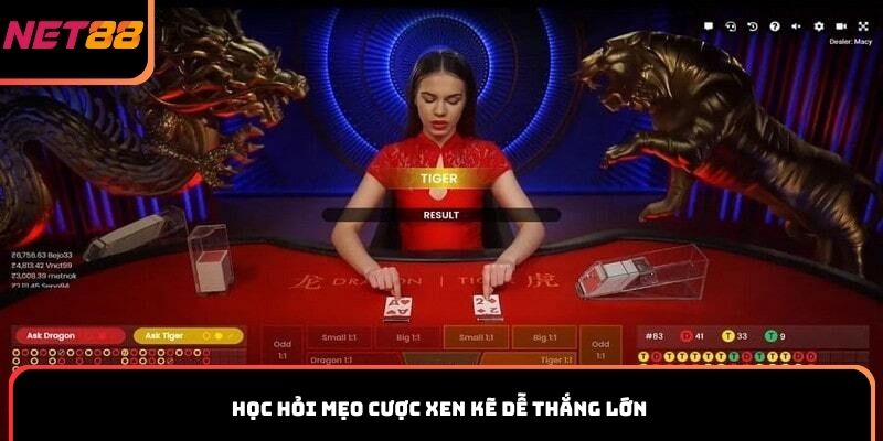 Học hỏi mẹo cược xen kẽ dễ thắng lớn