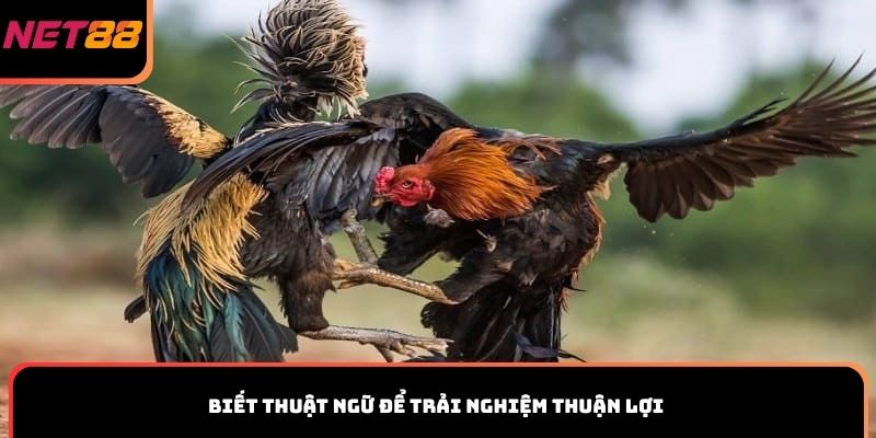 Biết thuật ngữ để trải nghiệm thuận lợi