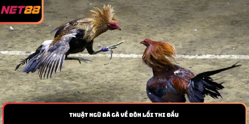 Thuật ngữ đá gà về đòn lối thi đấu