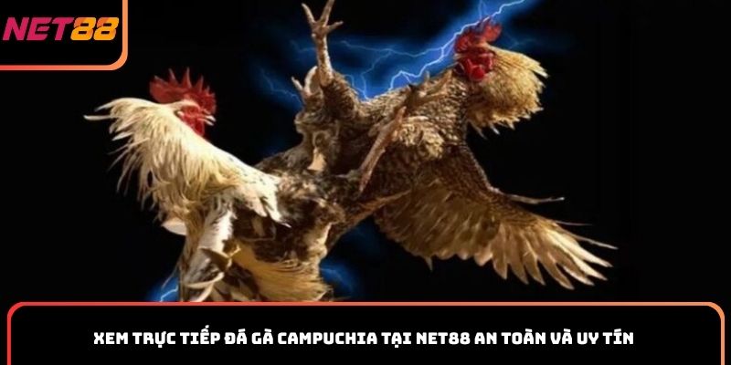 Xem trực tiếp đá gà Campuchia tại Net88 an toàn và uy tín